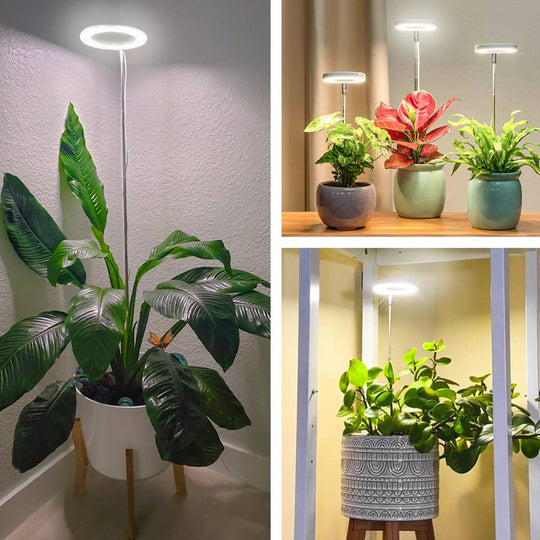 Lumelia - Plantlicht voor thuis 4