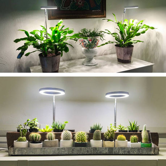 Lumelia - Plantlicht voor thuis 3
