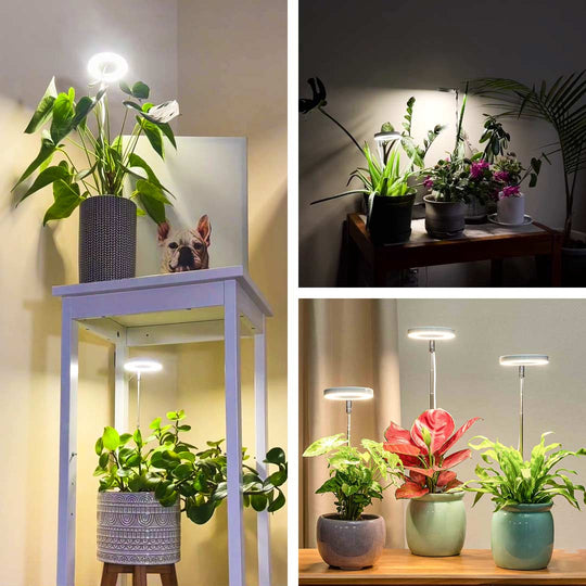 Lumelia - Plantlicht voor thuis 2