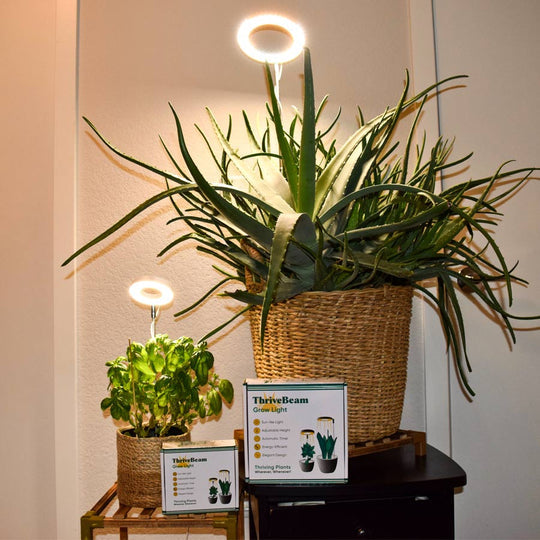 Lumelia - Plantlicht voor thuis 1